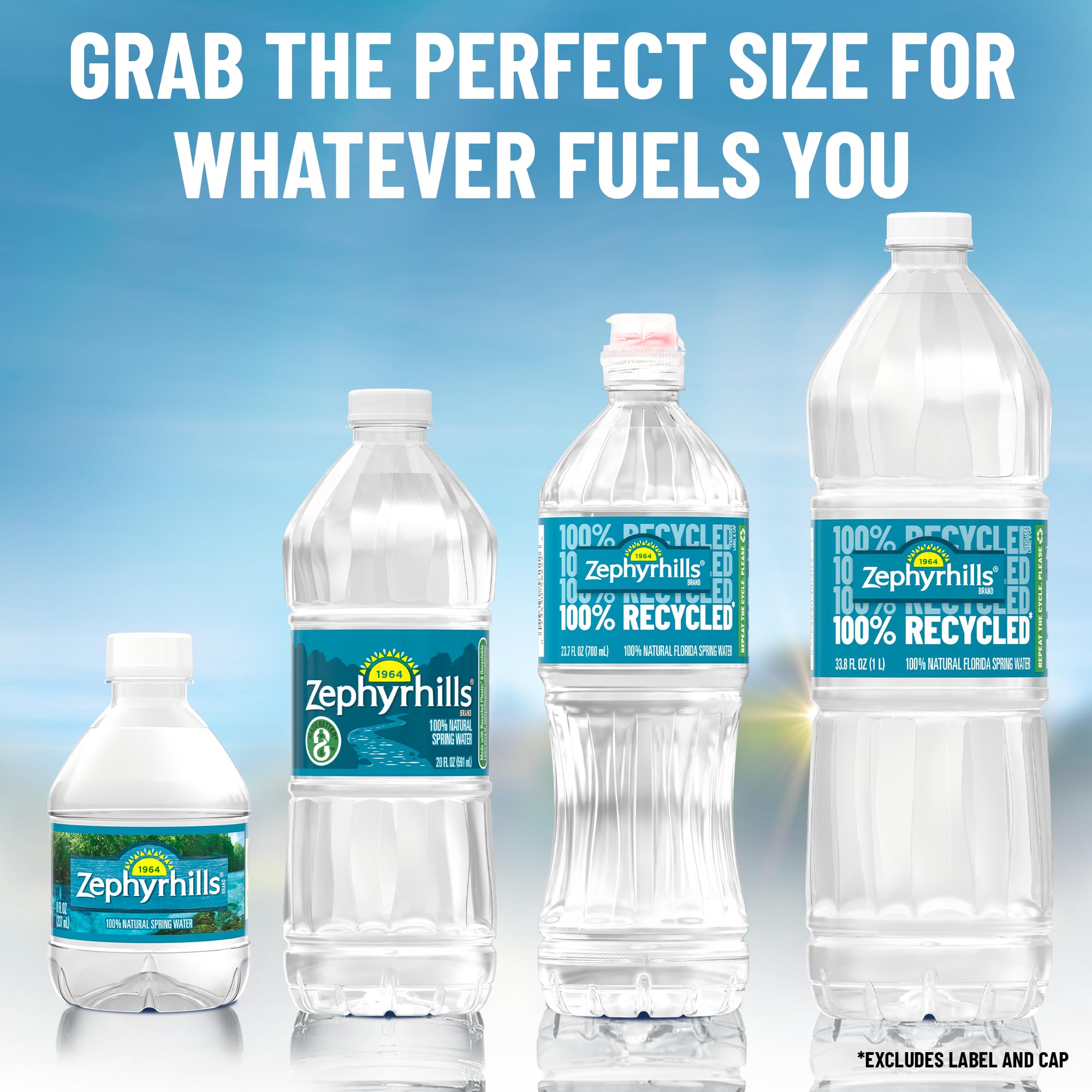 Amazon.com: Zephyrhills Spring Water, 23.7 oz Sports Cap, 24 Pack
